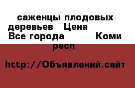 саженцы плодовых деревьев › Цена ­ 6 080 - Все города  »    . Коми респ.